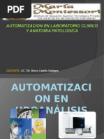 4.automatizacion en Uroanalisis