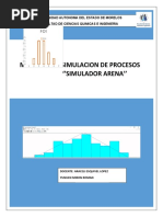 MR - Prueba de Bondad Arena - MSP