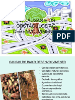 As Causas e Os Obstáculos Ao Desenvolvimento