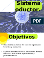 Aparato Reproductor