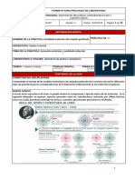 07 Modelado Molecular Del Casquete Perforado PDF