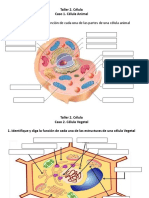 Tema 2 Taller Parte 1