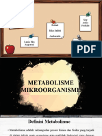 METABOLISME BAKTERI Kel 2