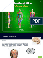 Atlas Geográfico Del Biomagnetismo PDF