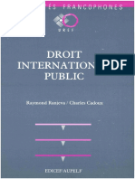 Droit International Public PDF