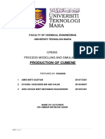 Full Report Hysys Cumene CPE603