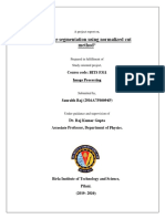 Project Report On Image Segmentation