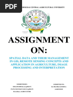 Assignment ON