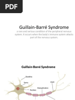 Guillain-Barré Syndrome