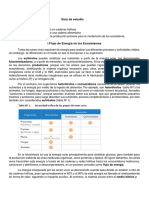 Guía 1 Biología Flujos de Energía 2° Medio