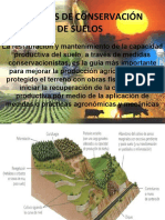 Medidas de Conservación de Suelos