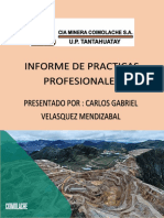 Informe Practicas Profesionales