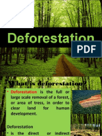 Deforestation Shazard 141209053609 Conversion Gate01