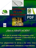 Adaptacindeseresvivos 091025193933 Phpapp02