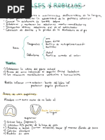 Bases y Rodillos