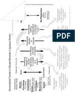 Igneous Petrology Part 5