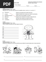 Examenes de Primaria PDF