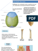 Sistema Osseo