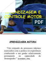 Aprendizagem e Controle Motor