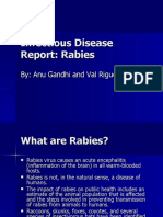 Infectious Disease Report: Rabies