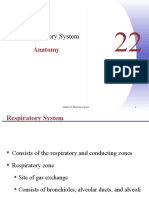 The Respiratory System: Anatomy