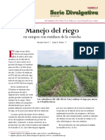 Riego Cenicaña PDF