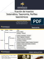 Sistemática Isectos3 Parcial 2