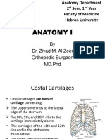 Anatomy I: by Dr. Ziyad M. Al Zeer Orthopedic Surgeon MD - PHD