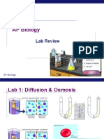 AP Biology Lab Review