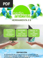 Diapositivas 5S Ambiental