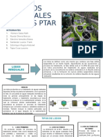 Lodos Residuales Ptar