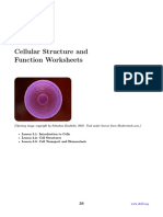 Cellular Structure and Function Worksheets