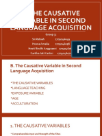 B. The Causative Variable in Second Language Acquisition