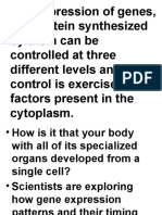 Control of Differentiation