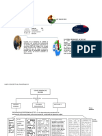 Mapas Conceptuales