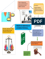 Observancia de Las Normas Procesales