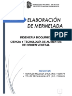 Elaboración de Mermelada PDF