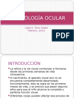 Embriologia Ocular