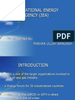 International Energy Agency (Iea)