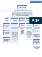 Mapa Conceptual Caso Raiz