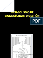 Tema 13. DIGESTIÓN DE BIOMOLECULAS