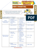 Tejido Vegetal para Quinto Grado de Primaria PDF