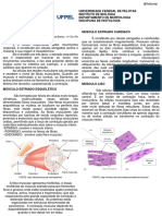 Resumo Tecido Muscular