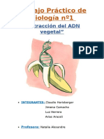 Trabajo Práctico de Biología Nº1: "Extracción Del ADN Vegetal"