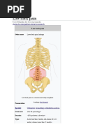 Low Back Pain: Jump To Navigation Jump To Search