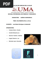 PDF Documento