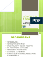 Agricultura Organica