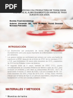 PDF Documento