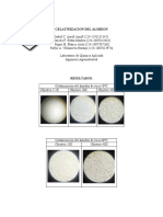 ALMIDON QUIMICA APLICADA INFORME Aplicadaa