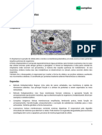 Citoplasma e Organelas-Apostila